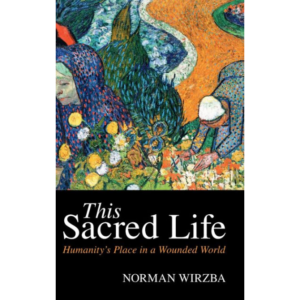 Breaking out of the immanent frame