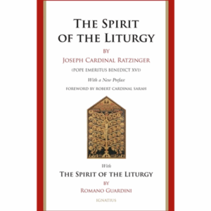 Secularization and anarchy